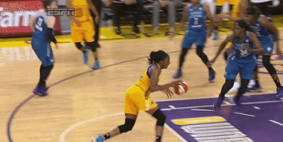 game 3 basketball GIF by WNBA