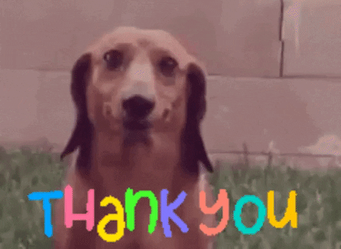 Video gif. We zoom in and out on a dog who stares at us with a strangely human smile. Bouncing, multicolored Text, "Thank you."