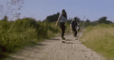 Blossom Sunflowers GIF by Blossöm Records