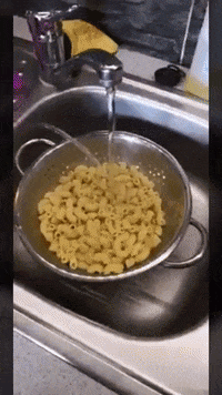 Water Wow GIF by JustViral.Net