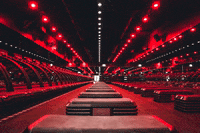 GIF by Barry's Dubai