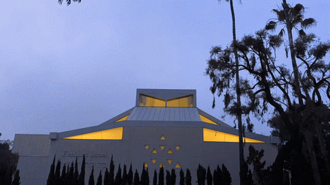 GIF by Kehillat Israel
