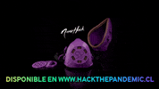 hackthepandemic instagif hackthepandemic GIF