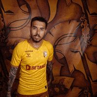 Football Deal With It GIF by SC Braga