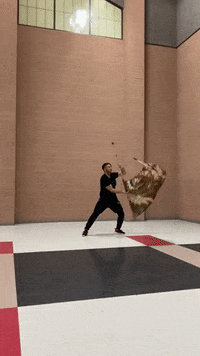 thatguywhospins  GIF