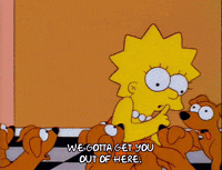 season 6 episode 20 GIF