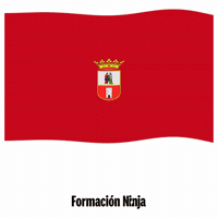 Dos Hermanas Flag GIF by Formación Ninja