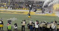 Pittsburgh Steelers Football GIF by NFL
