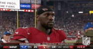 Arizona Cardinals Football GIF by NFL