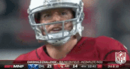 Arizona Cardinals Football GIF by NFL