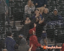 baseball win GIF by SB Nation