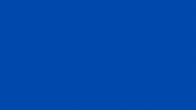creditrich turtle credit creditcard creditrich GIF