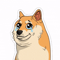 Sad Tears GIF by Doge Pound