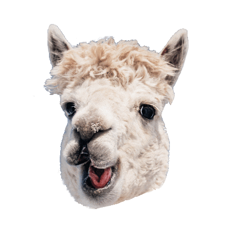 Neu Lama Sticker by plantamedium