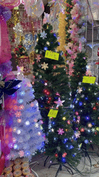Thisbushwicklife christmas holiday xmas nyc GIF
