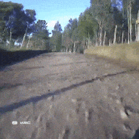 Chile Motorsport GIF by FIA World Rally Championship
