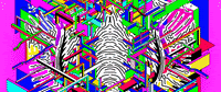 GIF by Miron