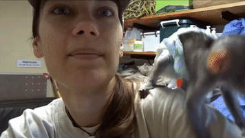 Three-Week Old Baby Monkey Says Hello