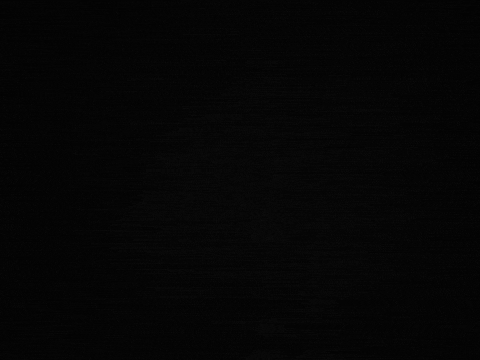 Skateboard Fishing GIF by Ghost Ship Supply