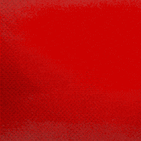 Posing Bayer 04 GIF by Bayer 04 Leverkusen