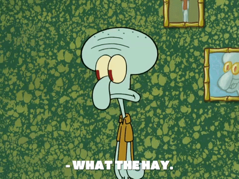 season 8 spongebob's runaway roadtrip: patrick's staycation GIF by SpongeBob SquarePants