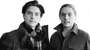 Cole Sprouse Twins GIF