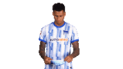 Hertha Bsc Football Sticker by Bundesliga