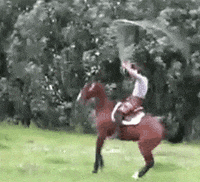 selariavertentes  GIF