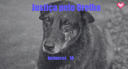 Anjo Crueldade GIF