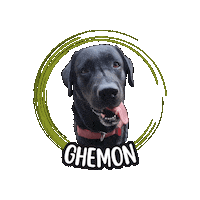 Cane Labrador Sticker by Asilo per cani Dog'sMind
