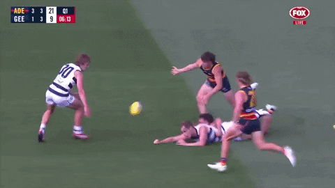 Round 1 Afl GIF by Adelaide Crows