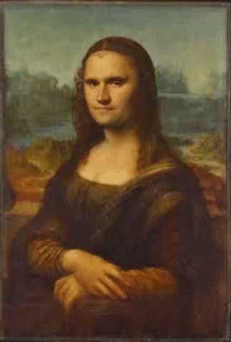 julsen mona lisa julsz GIF