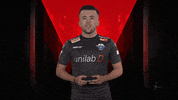 Dnd Playing GIF by Bundesliga