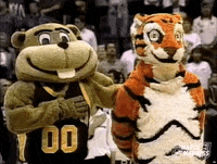 Ncaa Basketball Sport GIF by NCAA March Madness
