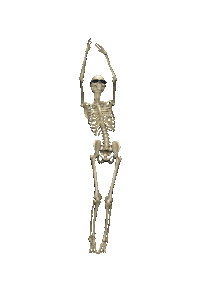 Dance Skull Sticker by DJ The Prophet