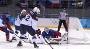 hockey team GIF