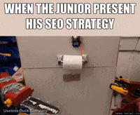 seowl_app seo seowl GIF