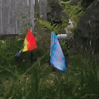 Rainbow Pride GIF by AceArchive