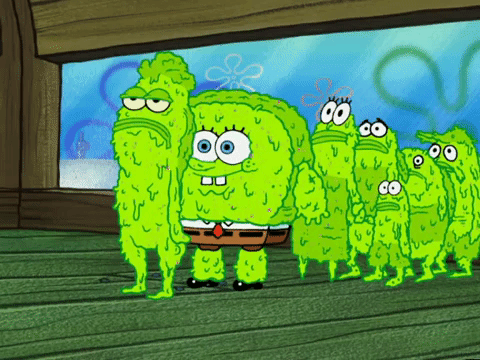 season 5 episode 3 GIF by SpongeBob SquarePants