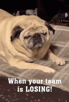 vicprrodriguez giphyupload GIF