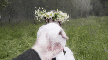 Kiss Of Death Ic3Peak GIF by Database數據