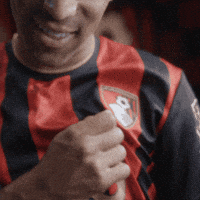 Happy Premier League GIF by AFC Bournemouth