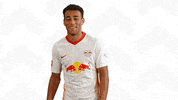 Im Fine Tyler Adams GIF by RB Leipzig