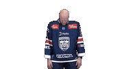Hockey Sticker by Fehervar AV19