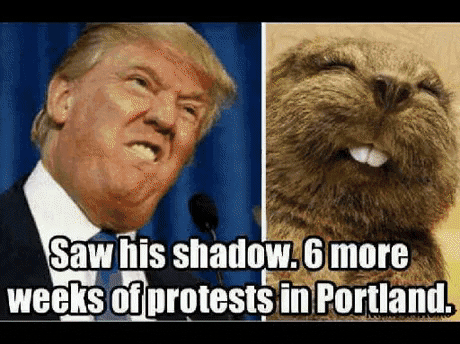 groundhog day trump GIF