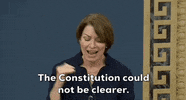 Voting Rights Democrat GIF by GIPHY News