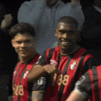 Happy Premier League GIF by AFC Bournemouth