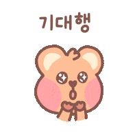 HAPPYALLIANCE 행복 quokka expectation 쿼카 Sticker
