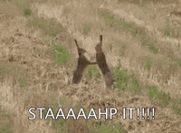 fight kids GIF