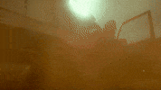 Allu Arjun Wildfire GIF by Marathi PR
